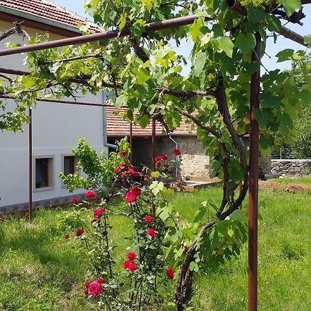 Guest House Art Eco Land Ganchovets Buitenkant foto