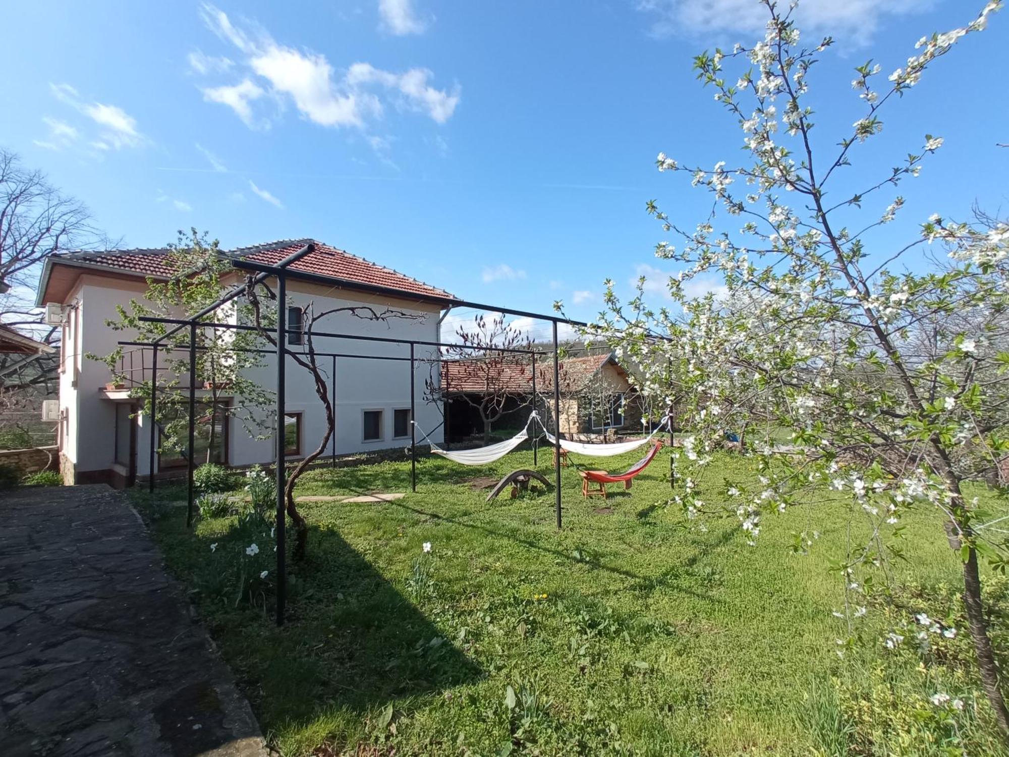 Guest House Art Eco Land Ganchovets Buitenkant foto