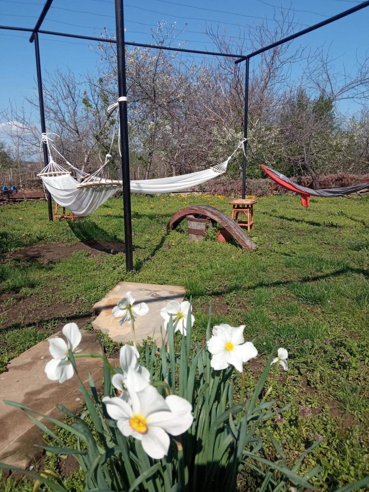 Guest House Art Eco Land Ganchovets Buitenkant foto