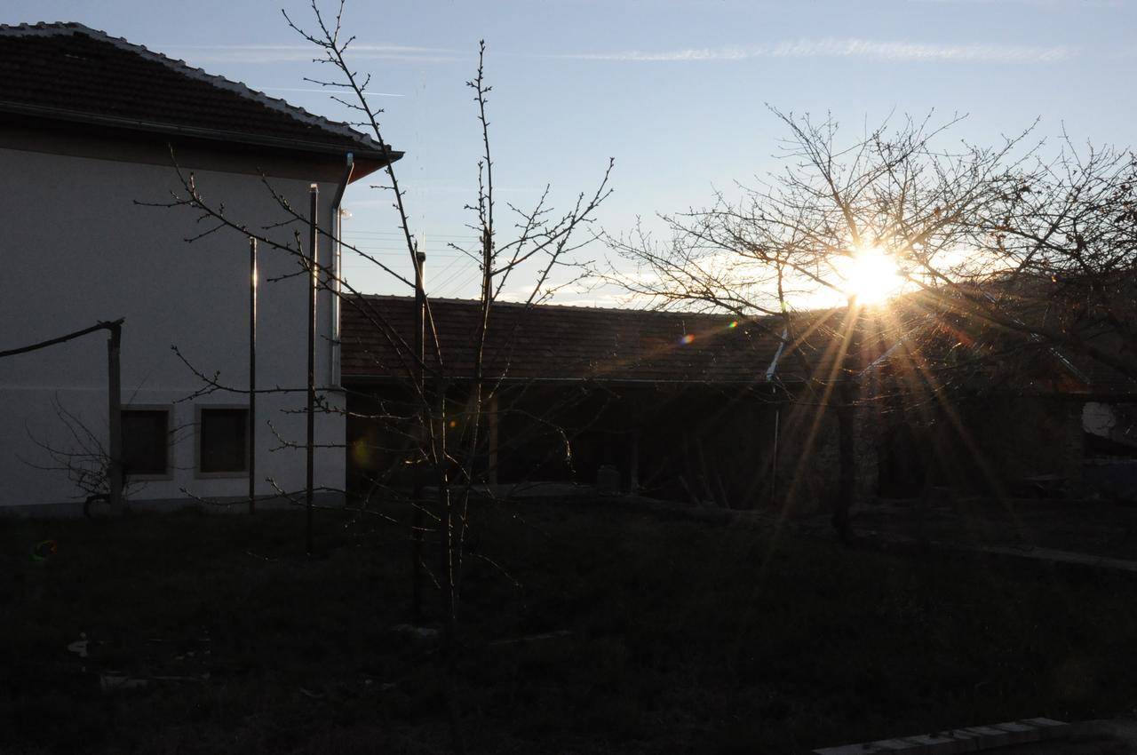 Guest House Art Eco Land Ganchovets Buitenkant foto