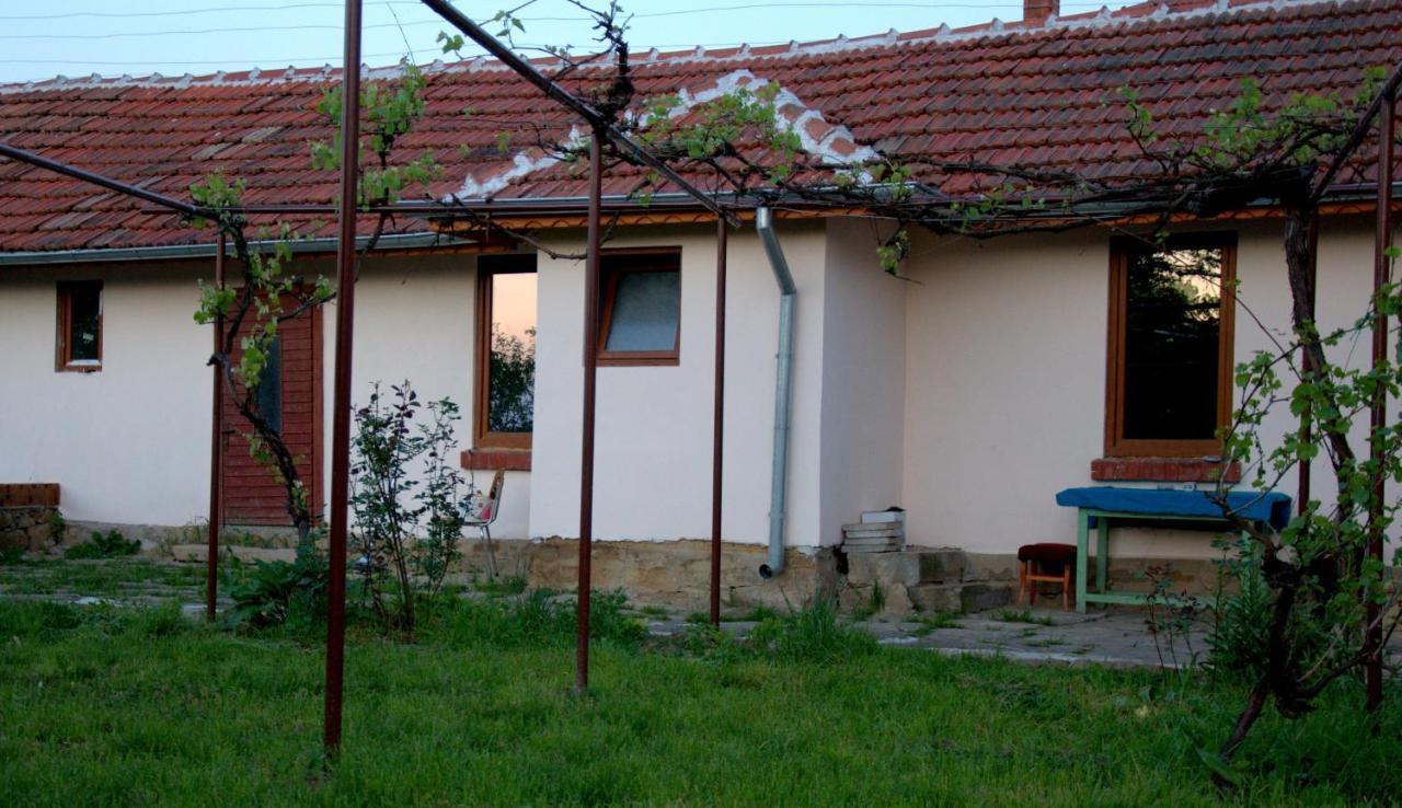 Guest House Art Eco Land Ganchovets Buitenkant foto
