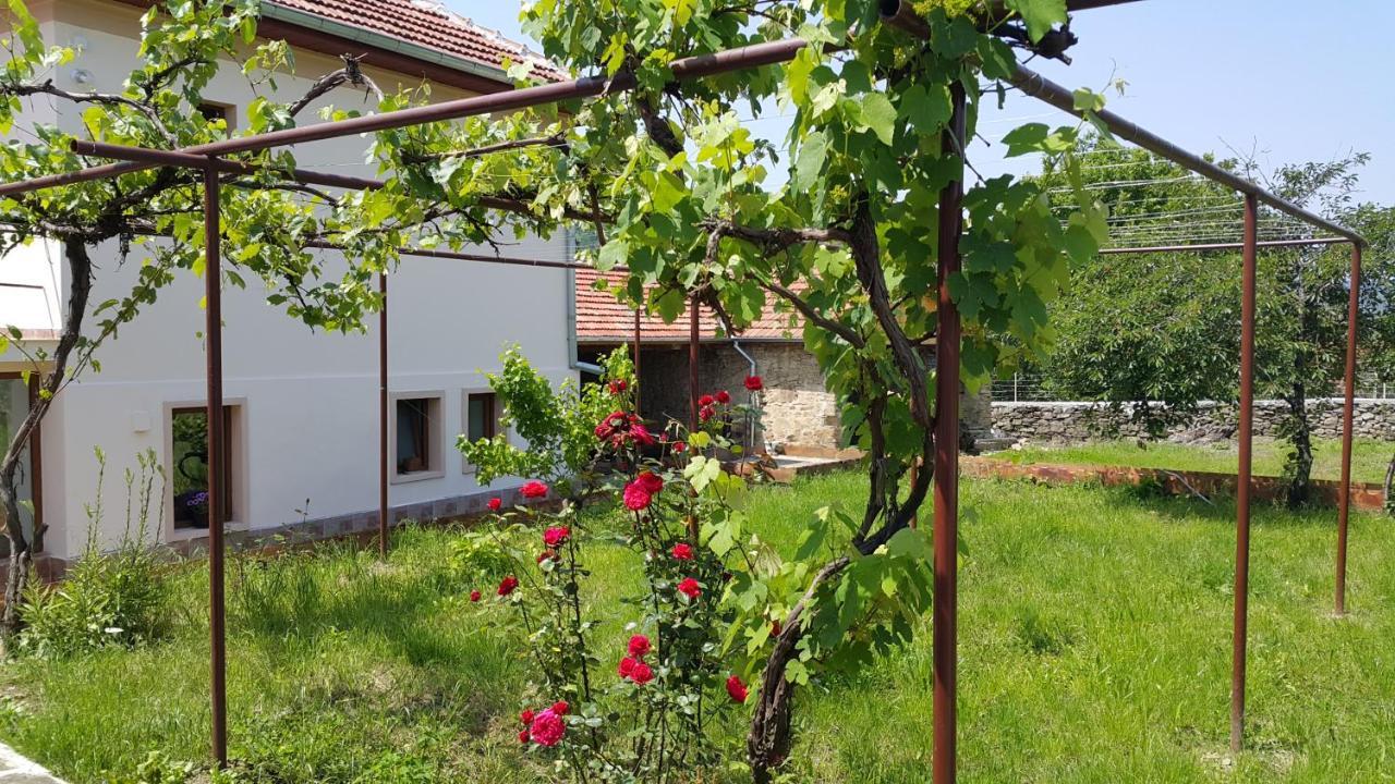 Guest House Art Eco Land Ganchovets Buitenkant foto